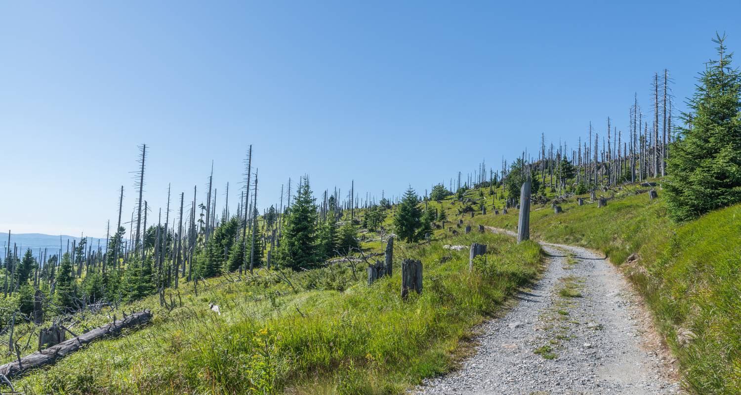 Singlereisen in Bayern