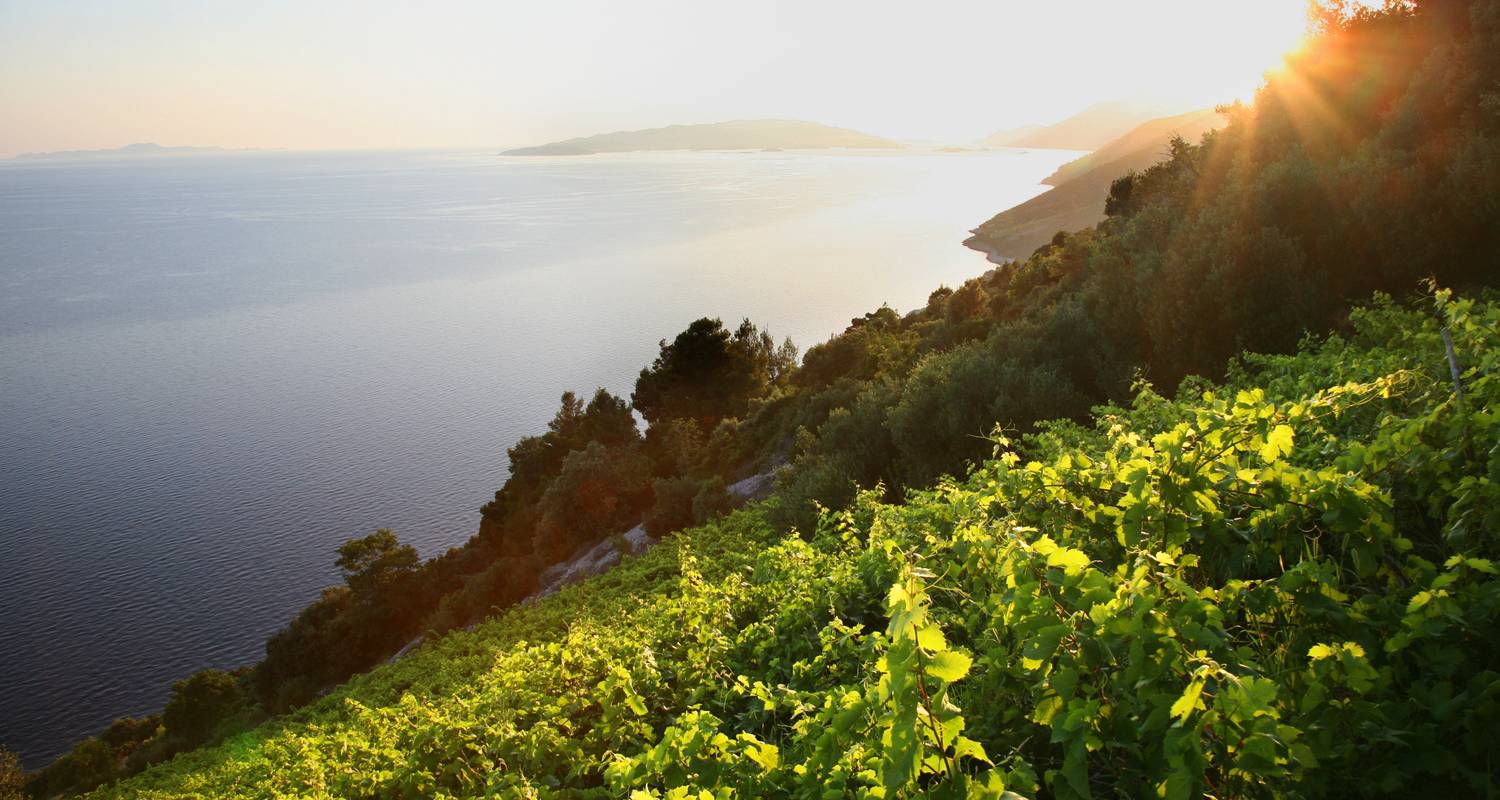 Dalmatian Coast & Mountains for Solo Travellers in 8 Days