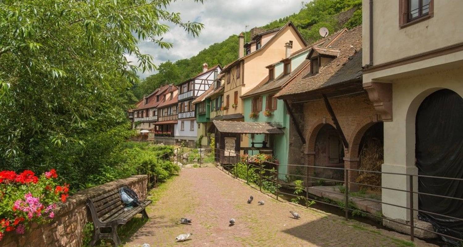 Hike & Discover the Tastes of Alsace