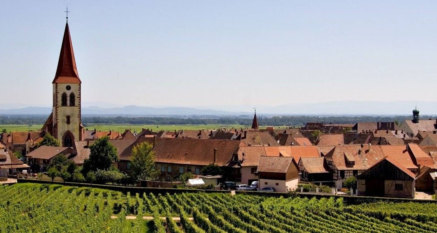 Hike & Discover the Tastes of Alsace