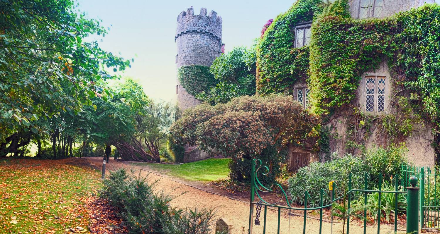 Hike through the Wicklows