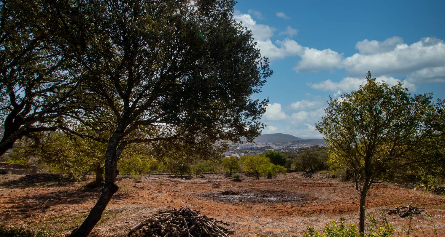 Hike the Algarve in 8 Days