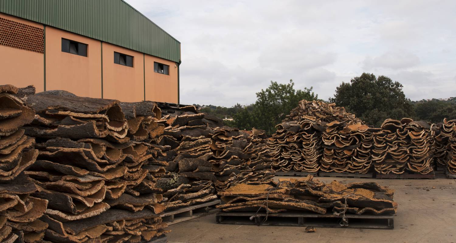 Hike the Algarve in 8 Days