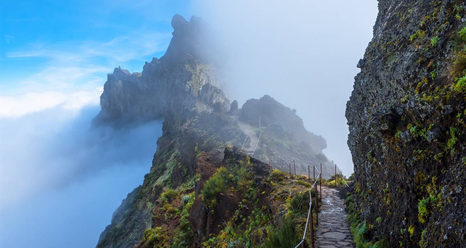 Walk Madeira's Highlights (8 days)