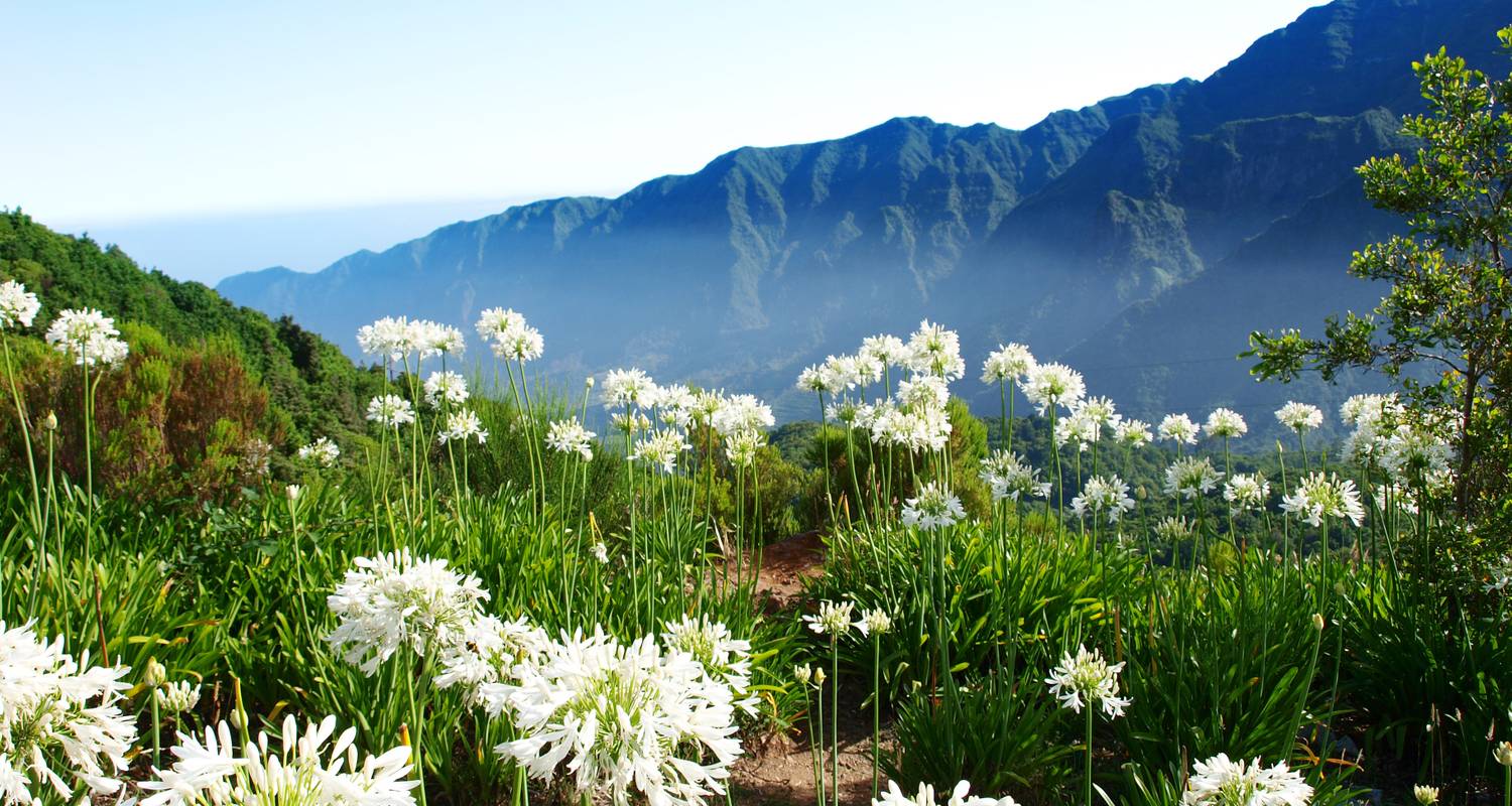 Hike Madeira (Easy)