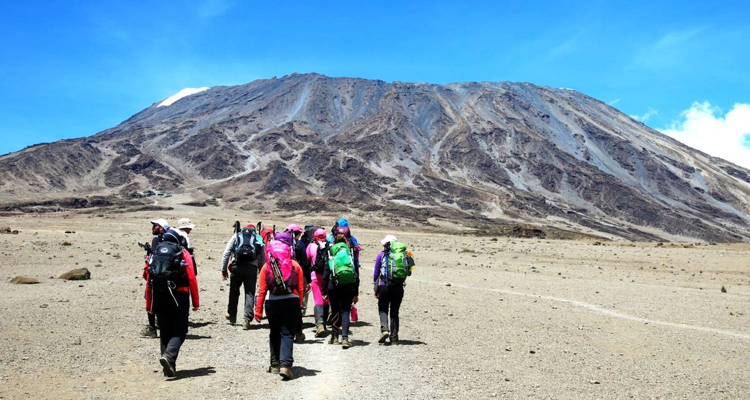 Kilimanjaro 6 Days Rongai Route Group Join Climb. - Kilipeak Adventures ltd