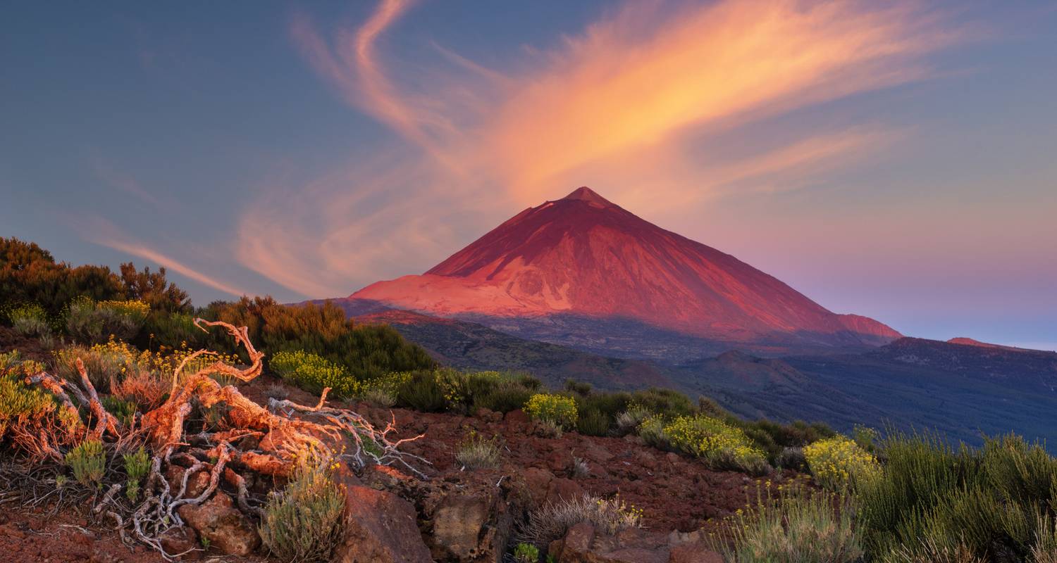 Spain & Canary Islands