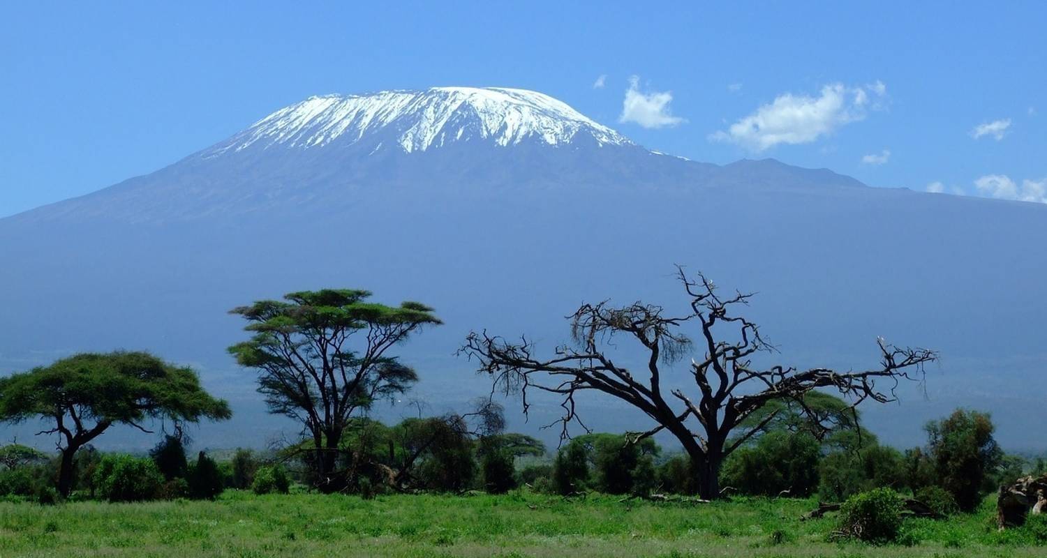 Kurzwanderung Kilimandscharo - 2 Tage - Gracepatt Ecotours Kenya