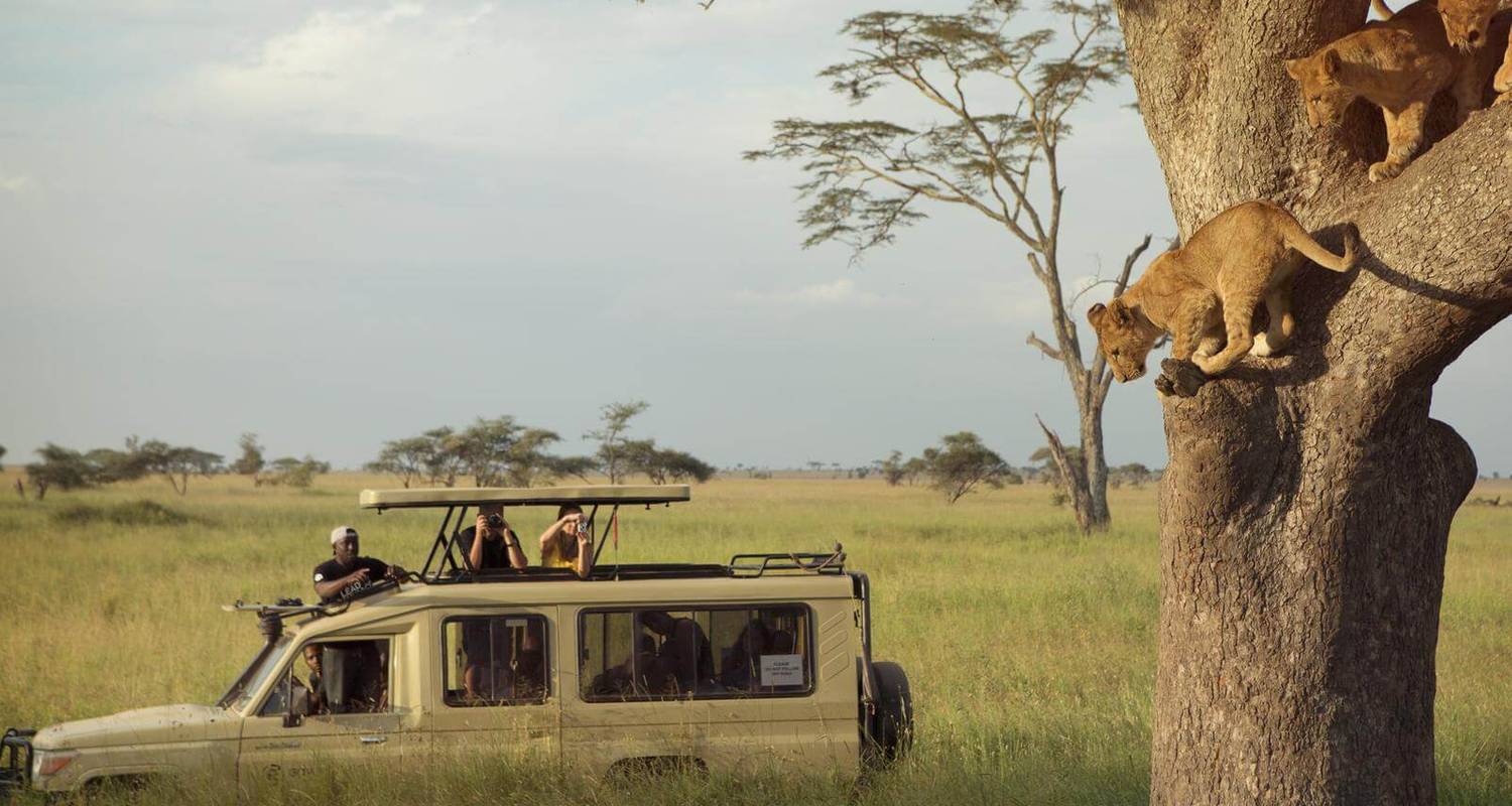Serengeti, Ngorongoro-Krater und Tarangire Nationalpark - 4 Tage (Gruppe) - Kilimeru Safaris