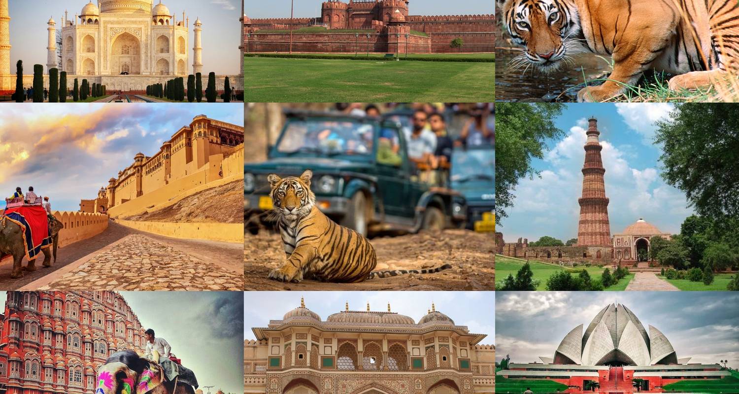 Tijgersafari  – Gouden Driehoek met Ranthambore - Tour Trips India Holidays