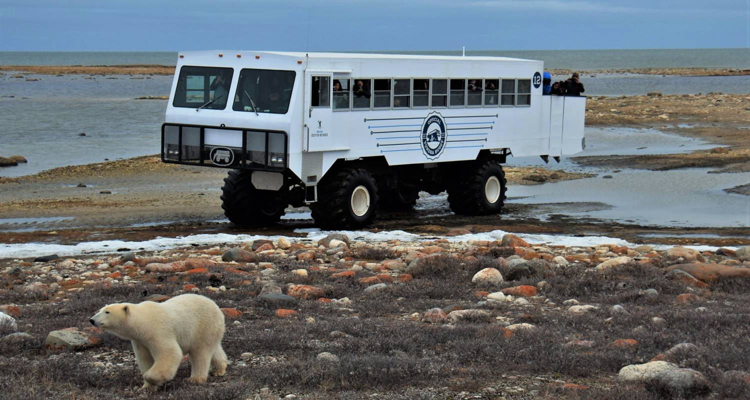 frontier tours churchill