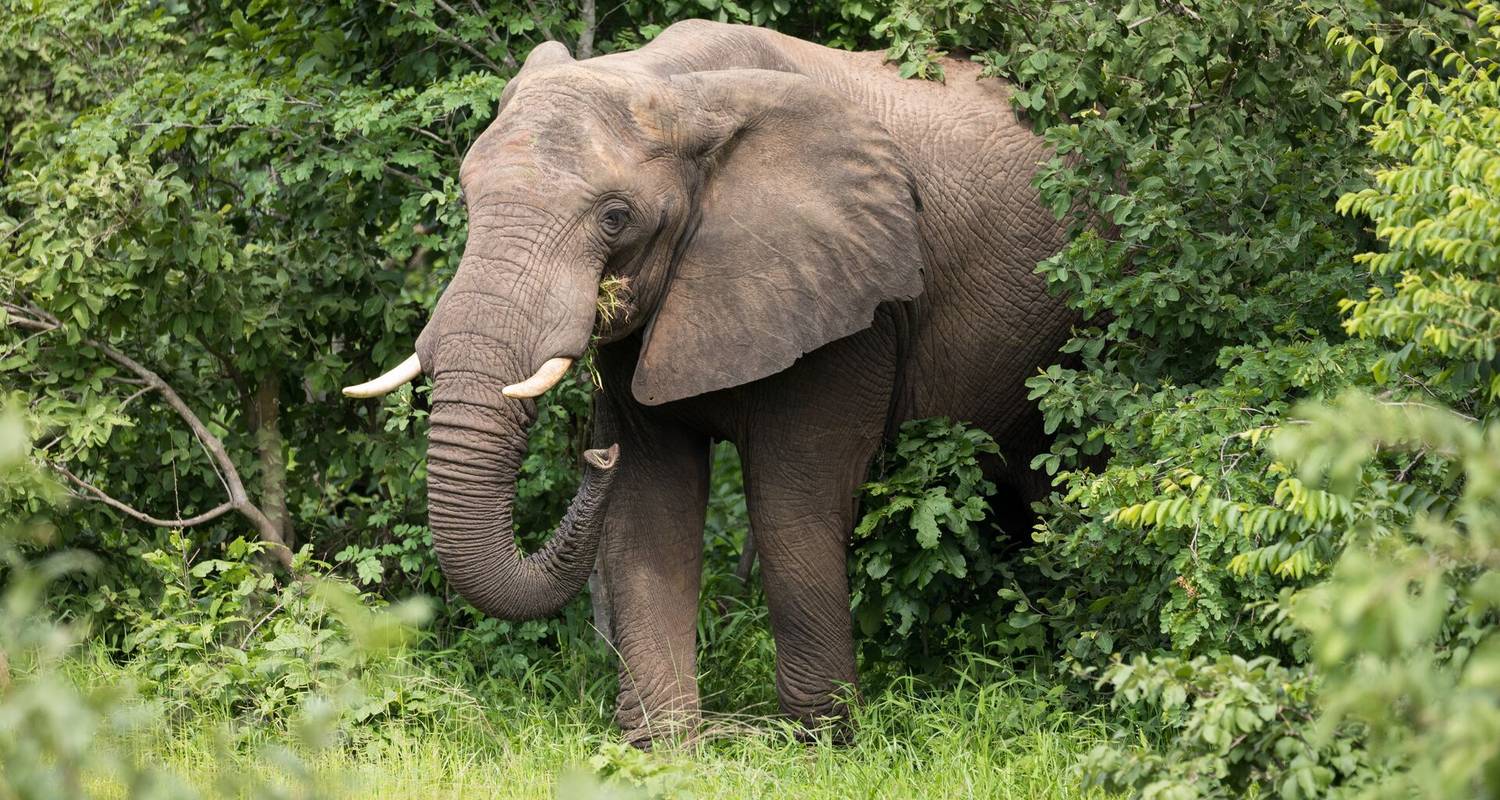 Lo más destacado de Kenia y África austral (11 destinations) - Intrepid Premium