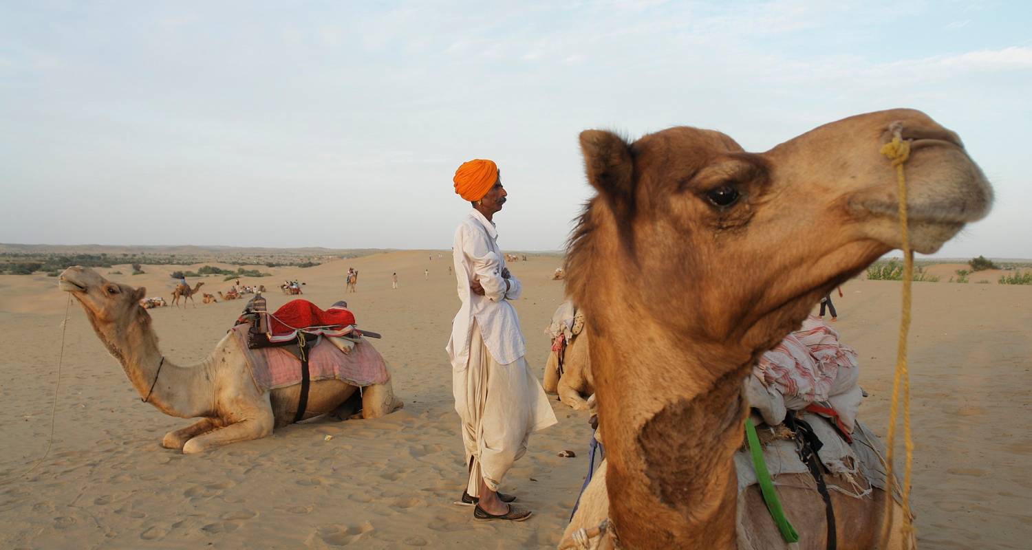 Rajasthan Erlebnisreise - Panda Experiences