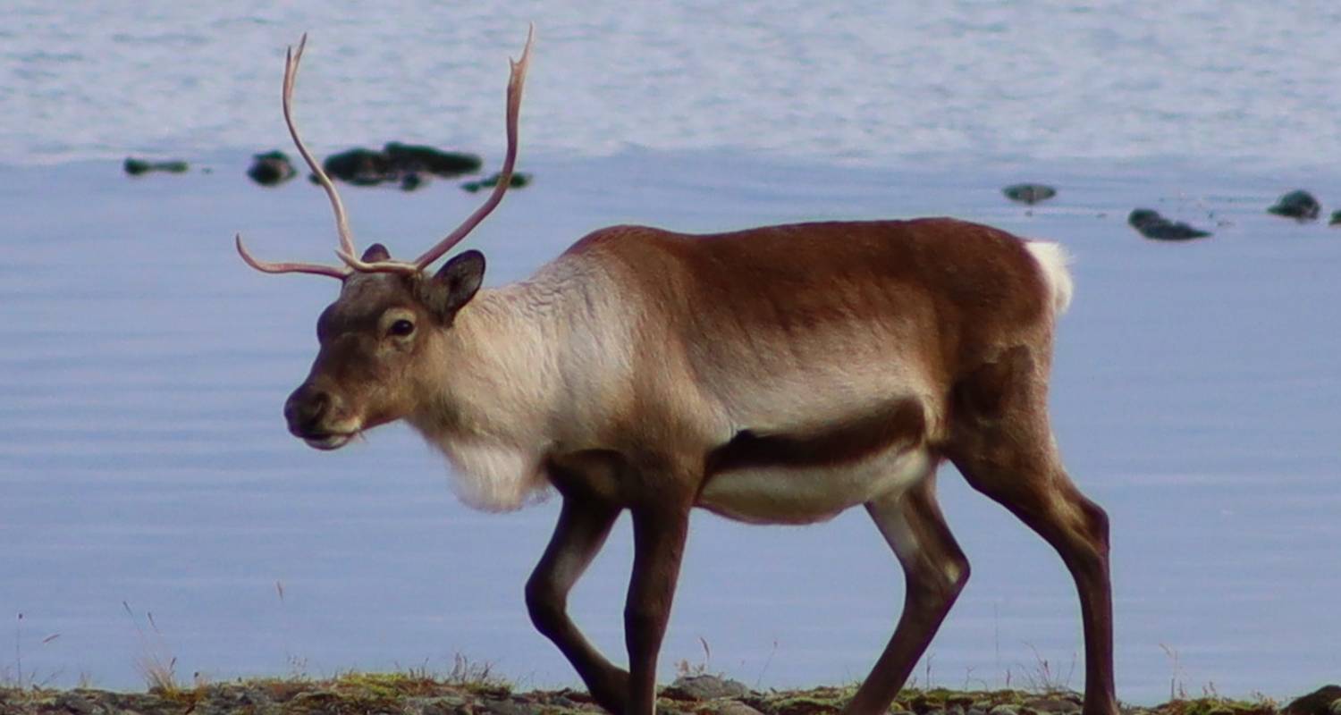 10 Days Iceland Ring Road In-depth - Private Tour (Winter)