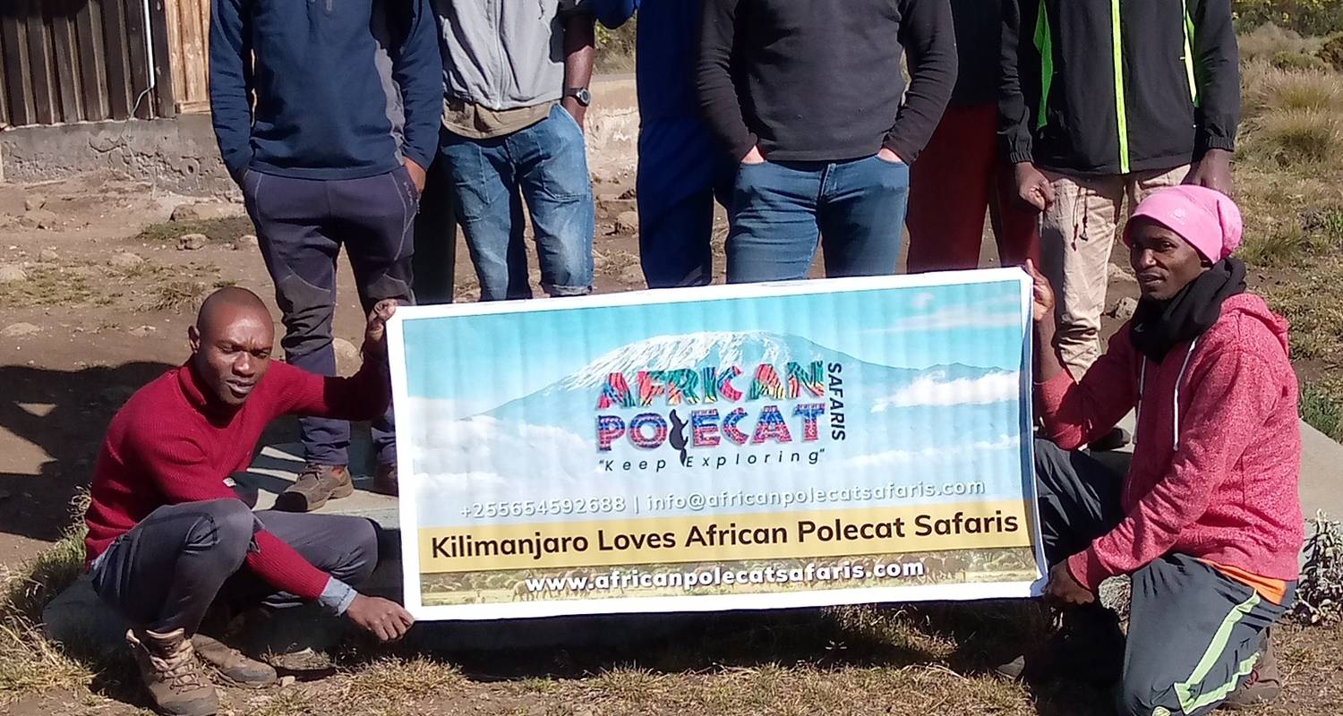 Kilimanjaro Besteigung über die Lemosho Route (unsere Lieblingsroute, 8 Tage) - African Polecat Safaris