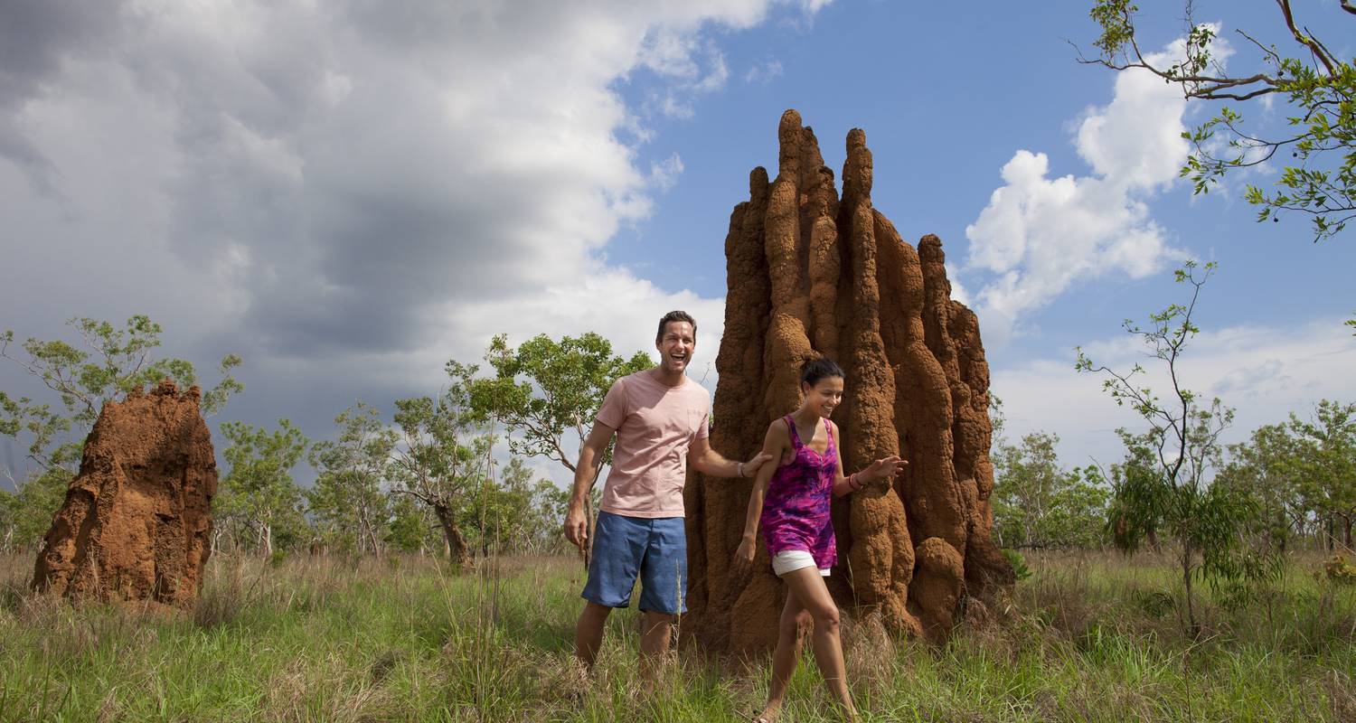 Kakadu Rock Art Tour – 1 Day by Wildlife Tours Australia
