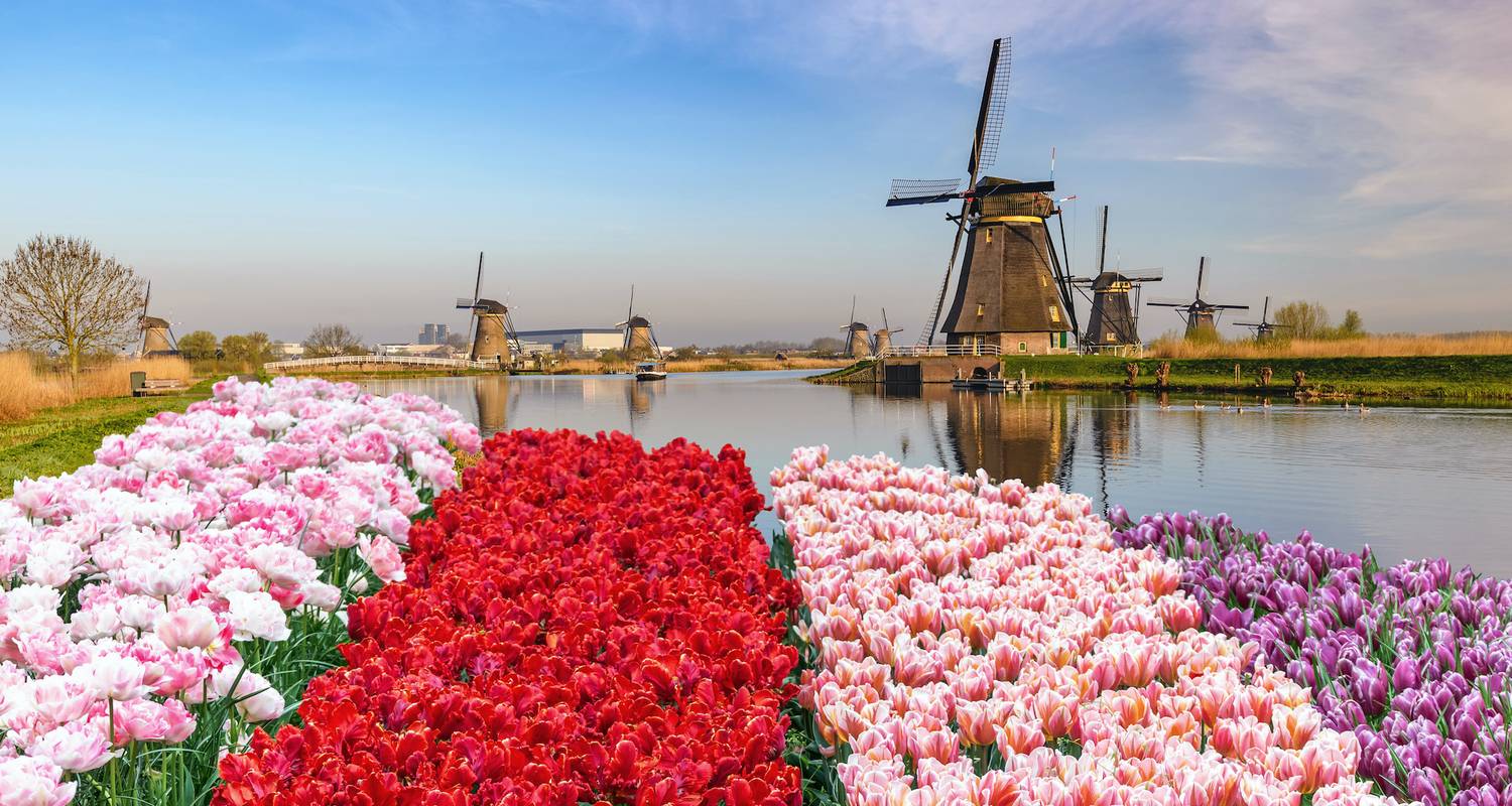 Tulip Time Cruise with 1 Night in Amsterdam 2023 - Avalon Waterways