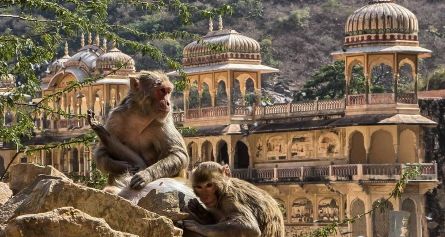 Private 2 Night 3 day Pink City tour by car - Avtar India Tours