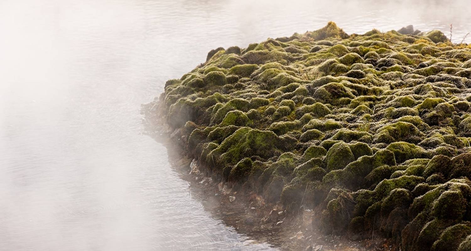 Le cercle d'or d'Islande en profondeur - Intrepid Travel