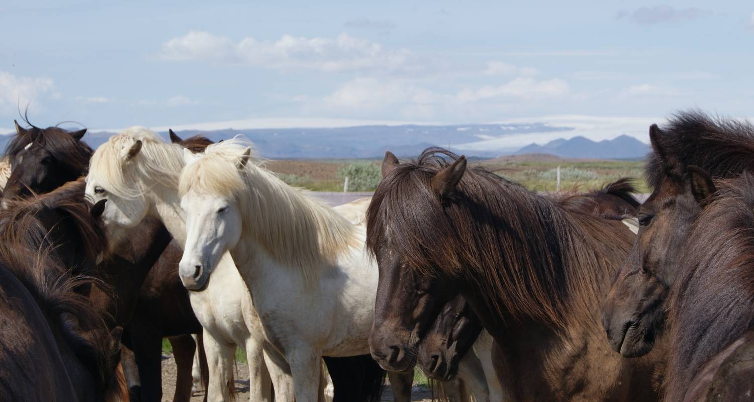 12 Days Grand Tour of Iceland