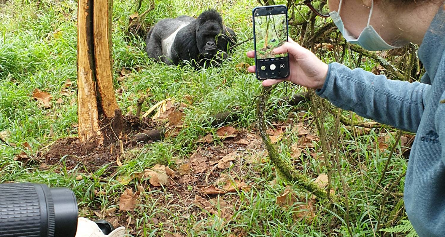 4 dagen Uganda Gorilla&Chimpansee Trekkings - Safari 2 Gorilla Tours (U) Ltd