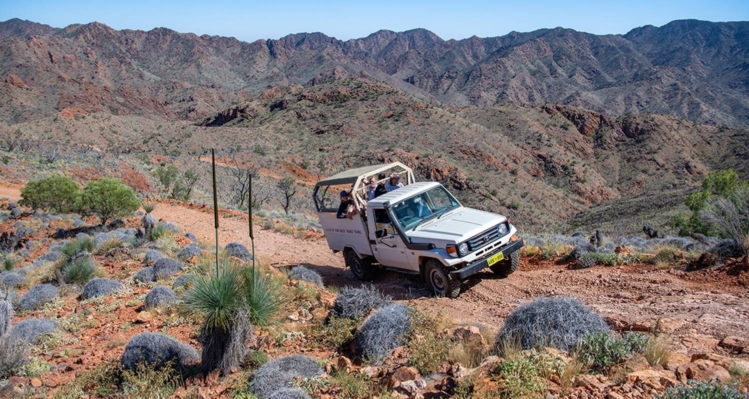 intrepid tours flinders ranges