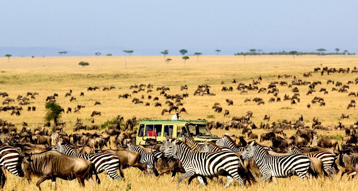 5 days Serengeti wildebeest migration safari with reasonable price - Africa Natural Tours