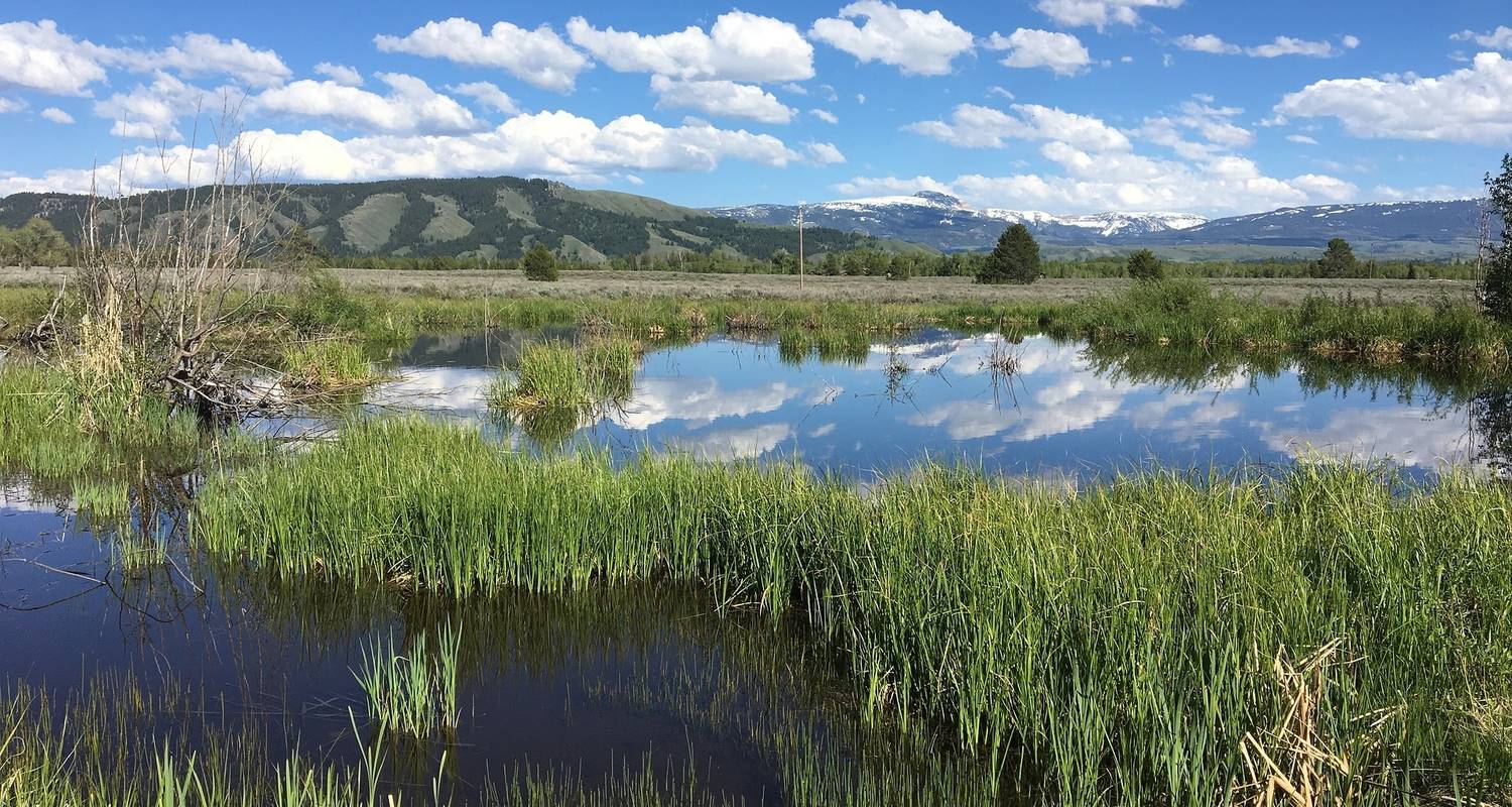 De Spring Creek à Green River Lakes - Wildland Trekking