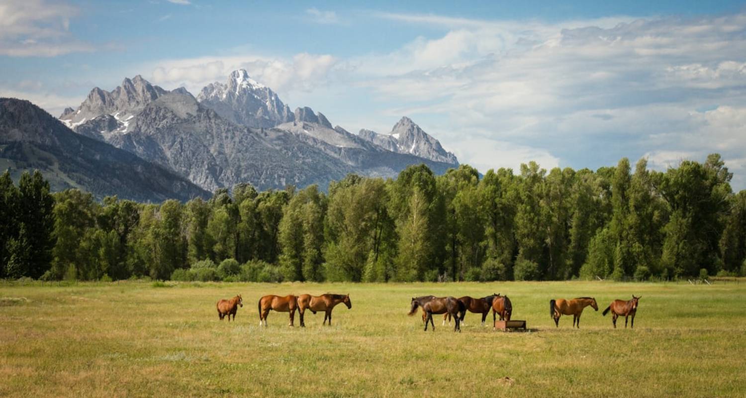 Grand Teton National Park Tours & Trips