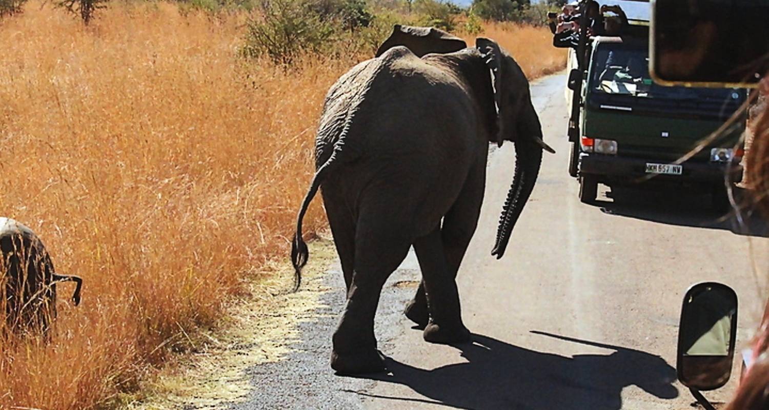2 Days Best Ever Kruger National Park Safari - Africa Moja Tours & Transfers