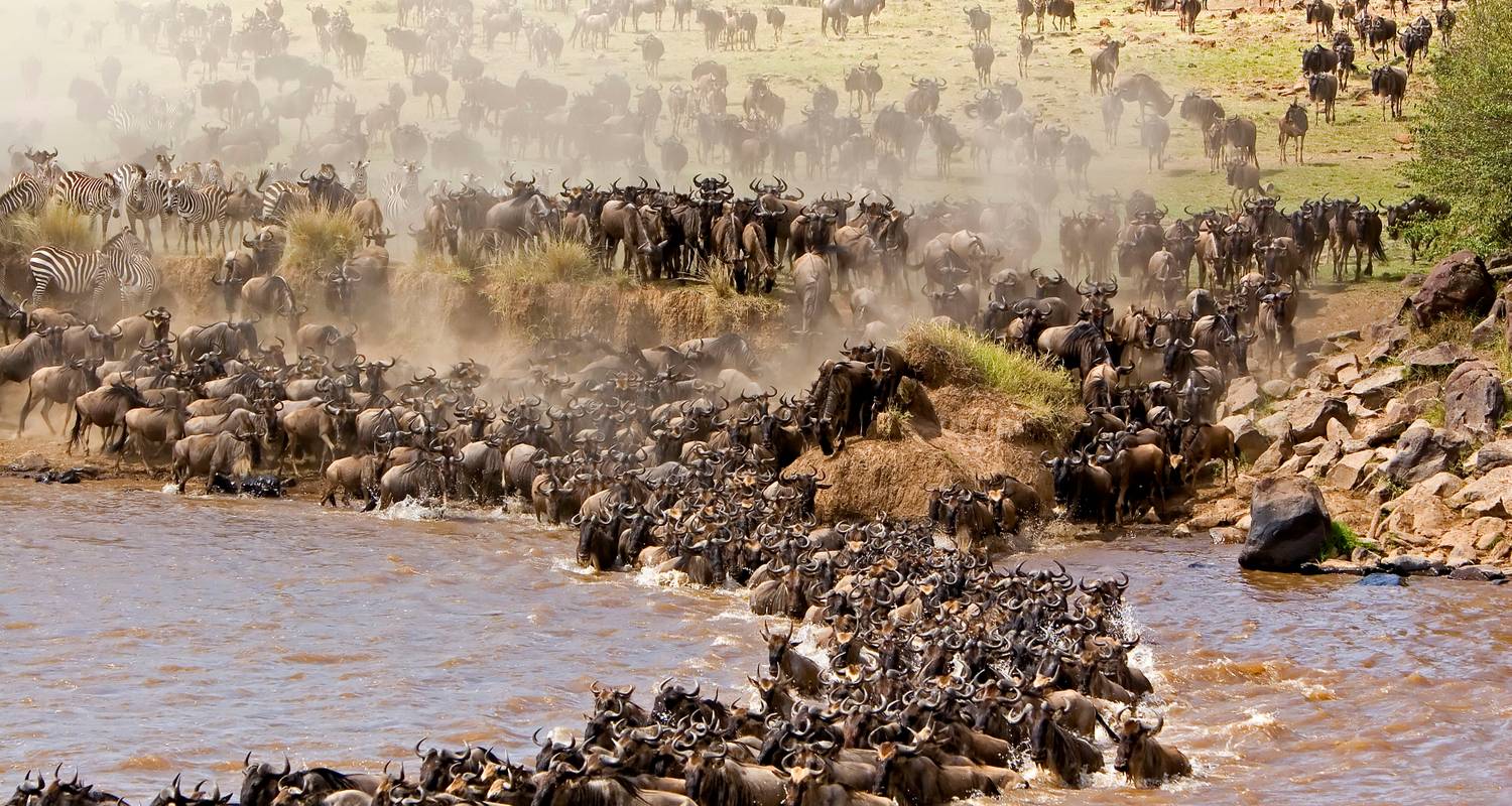 6 Days – Serengeti Migration Joining Group Safari - Wonders of Creation Tours and Safaris