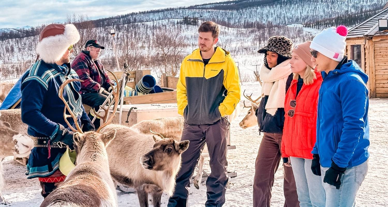 Norvège Fjords et aurores boréales - 8 jours - Contiki