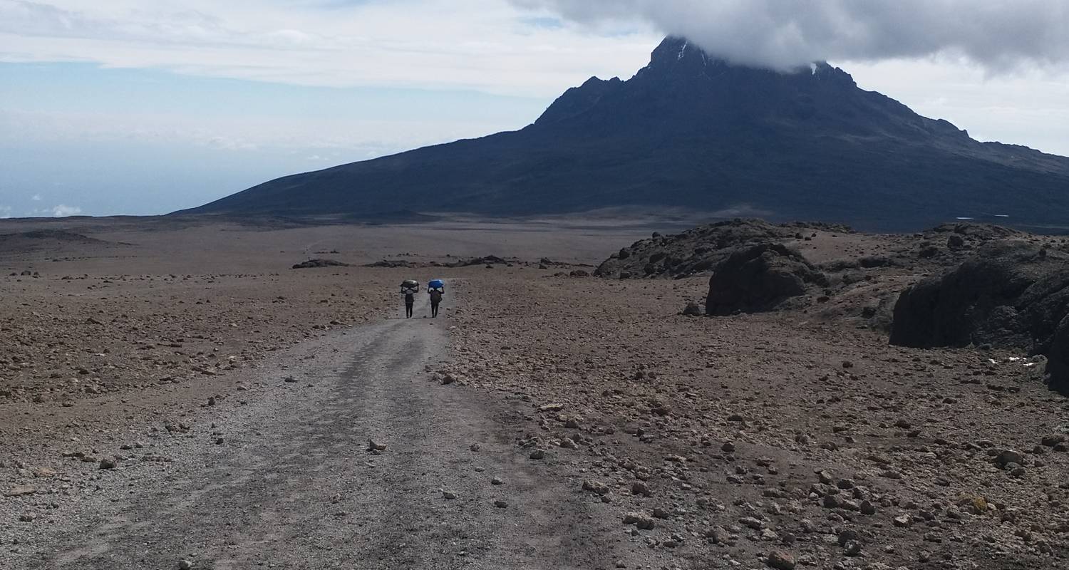 Kilimandscharo - Tageswanderung - RajaTours Tanzania