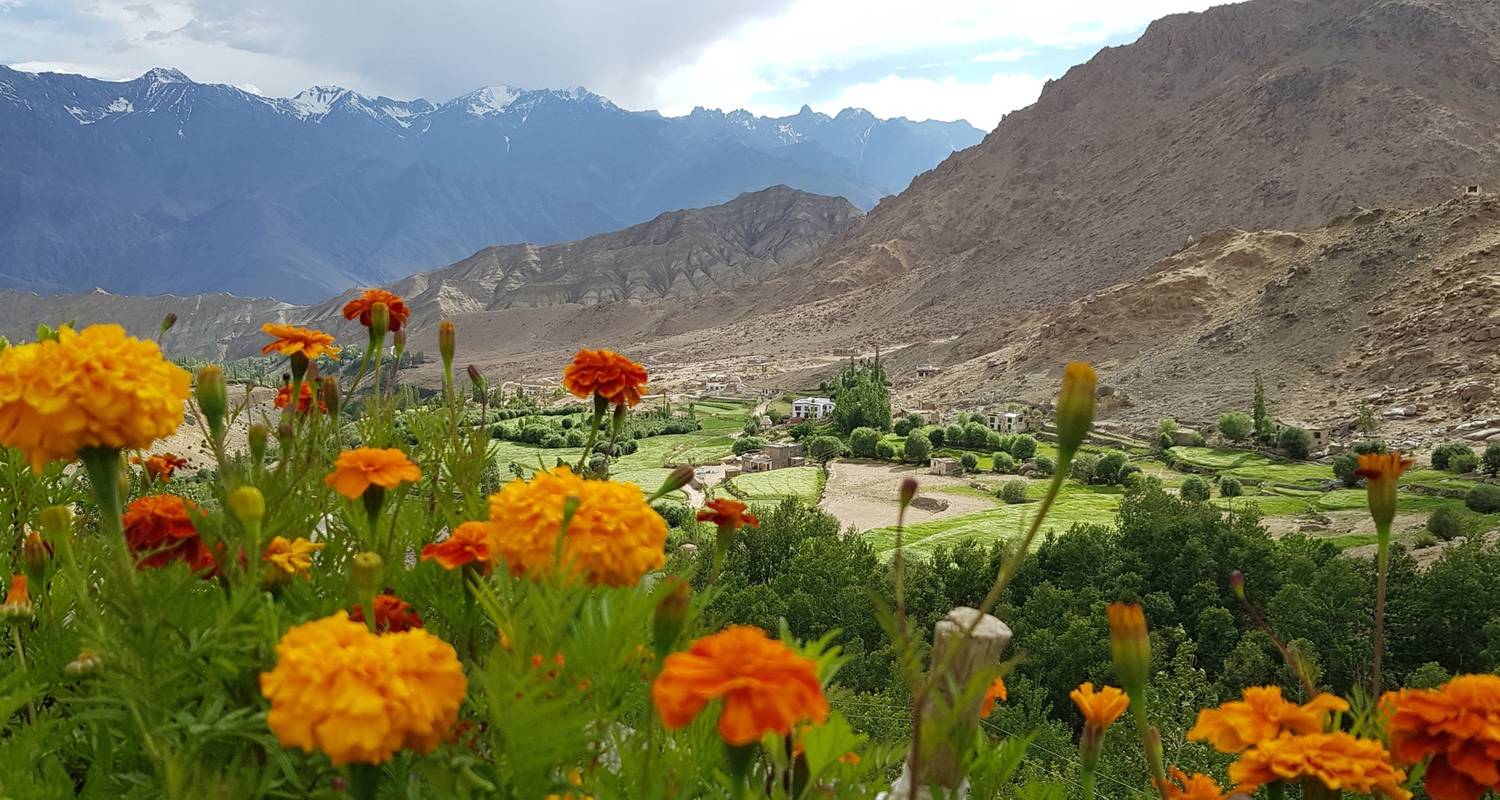 Hiking the High Monasteries of Ladakh - Yellowwood Adventures Ltd