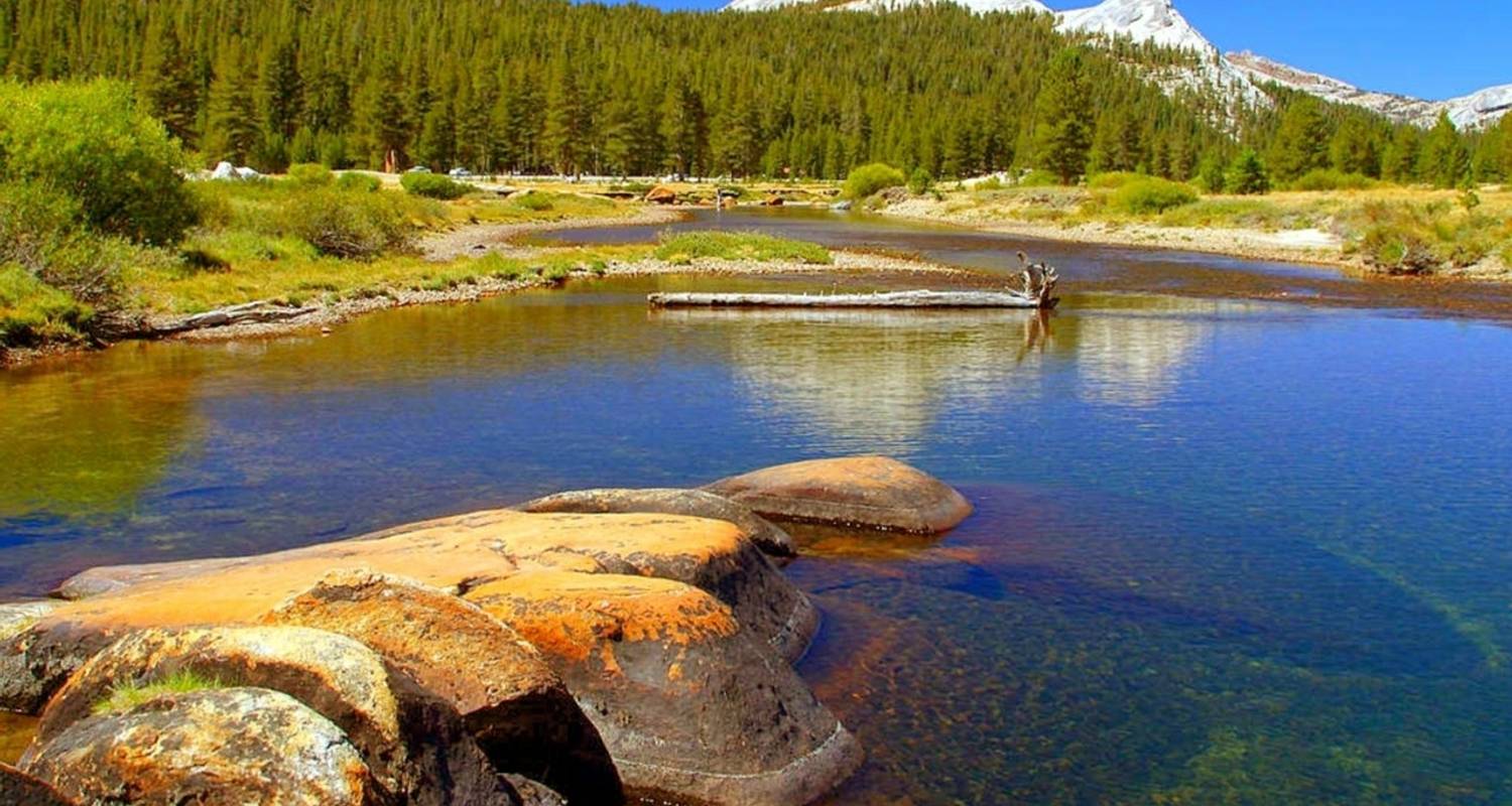 Excursión de verano en el Autocamp Yosemite - Wildland Trekking