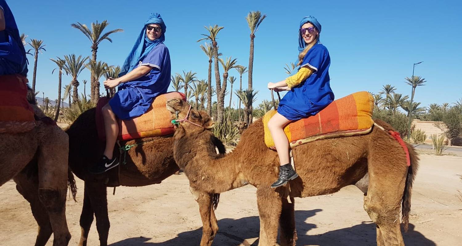 Activity Camel ride in marrakech palmeraie - Morocco Trip Travel
