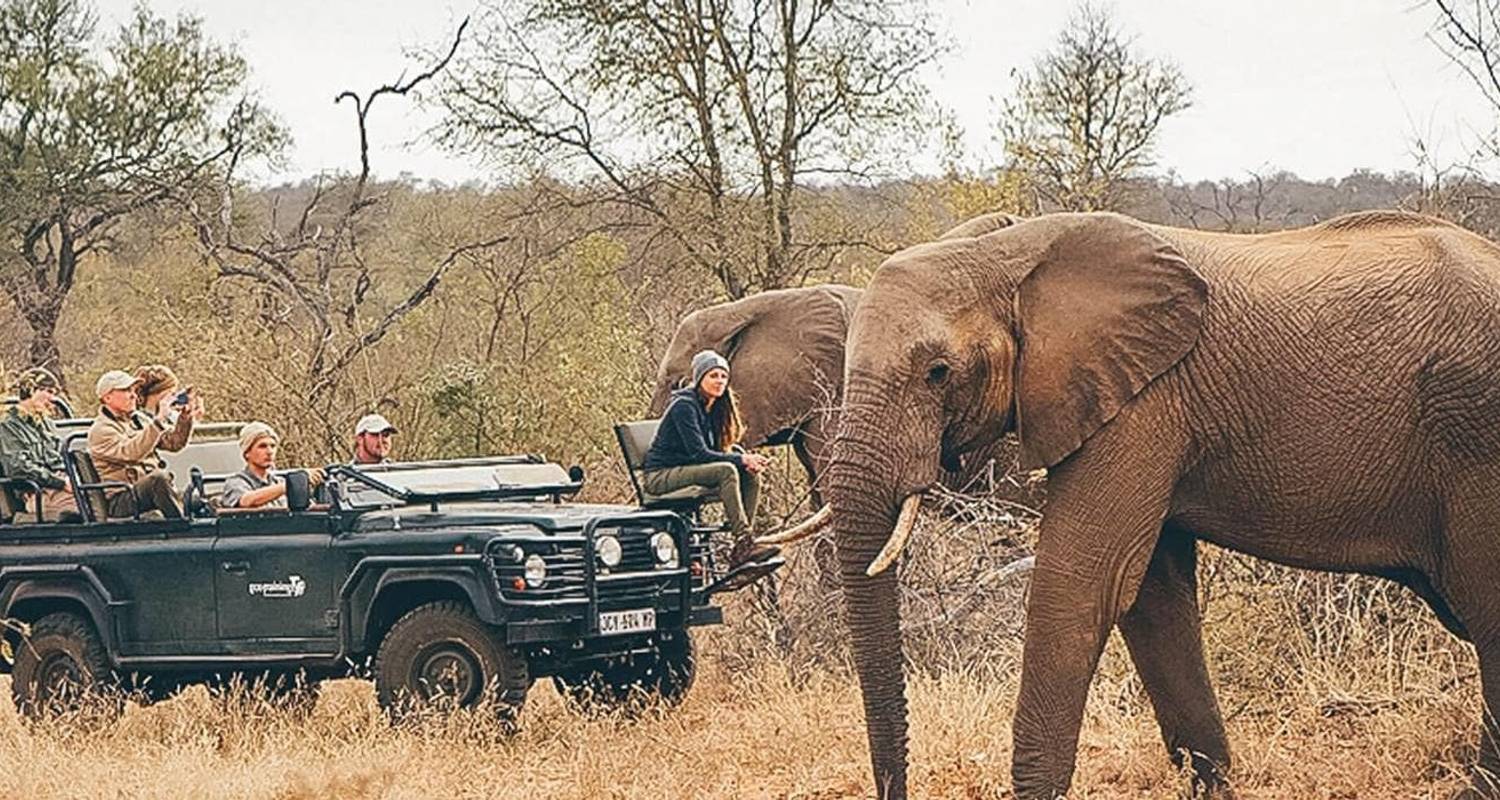 Learn to be a Safari Guide in Kruger National Park (Base, 8 Days) - Contiki