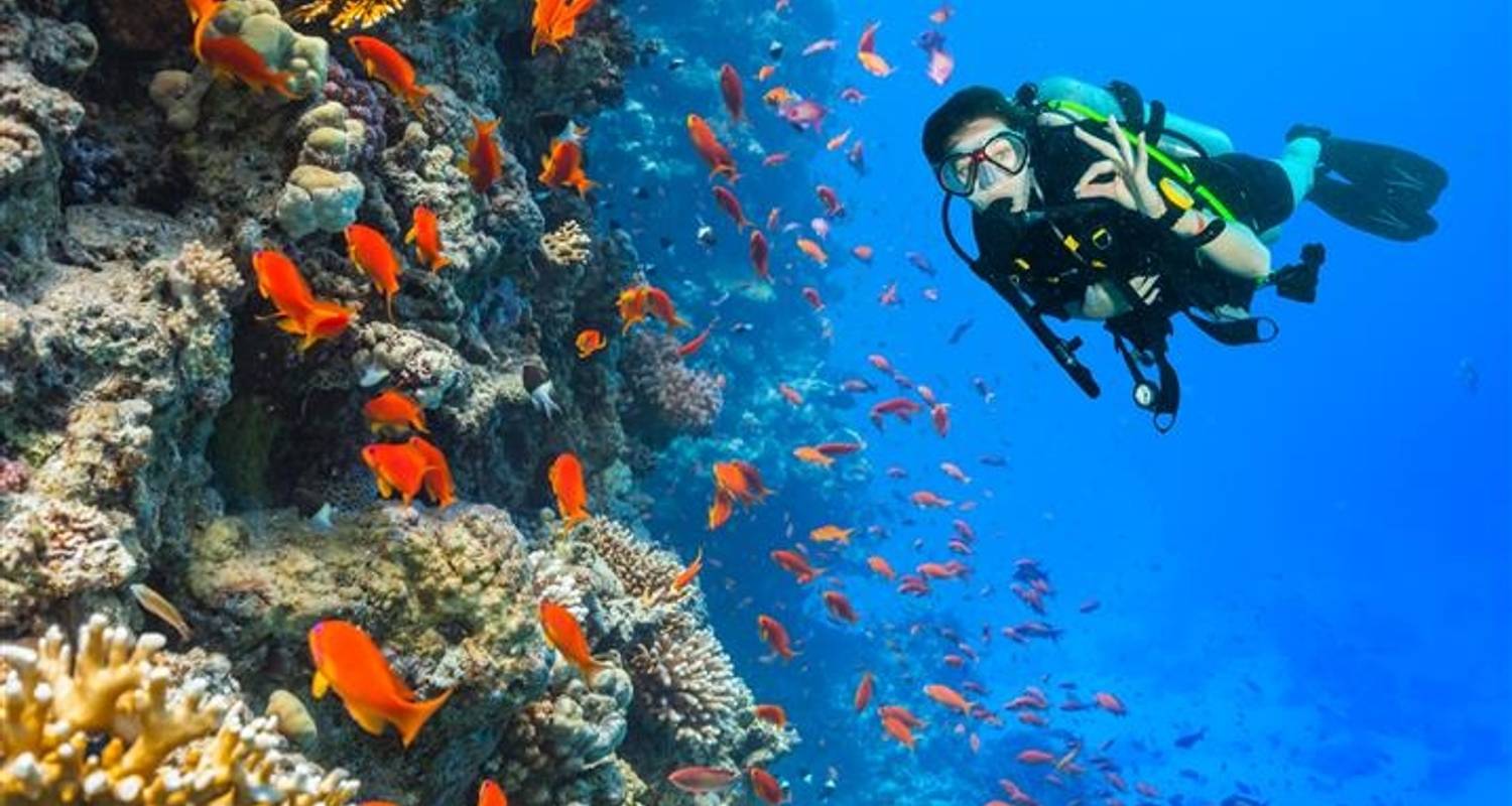 Red Sea Diving 8 days from Amman (2+Travelers, 5* Hotel) - Booking Tours