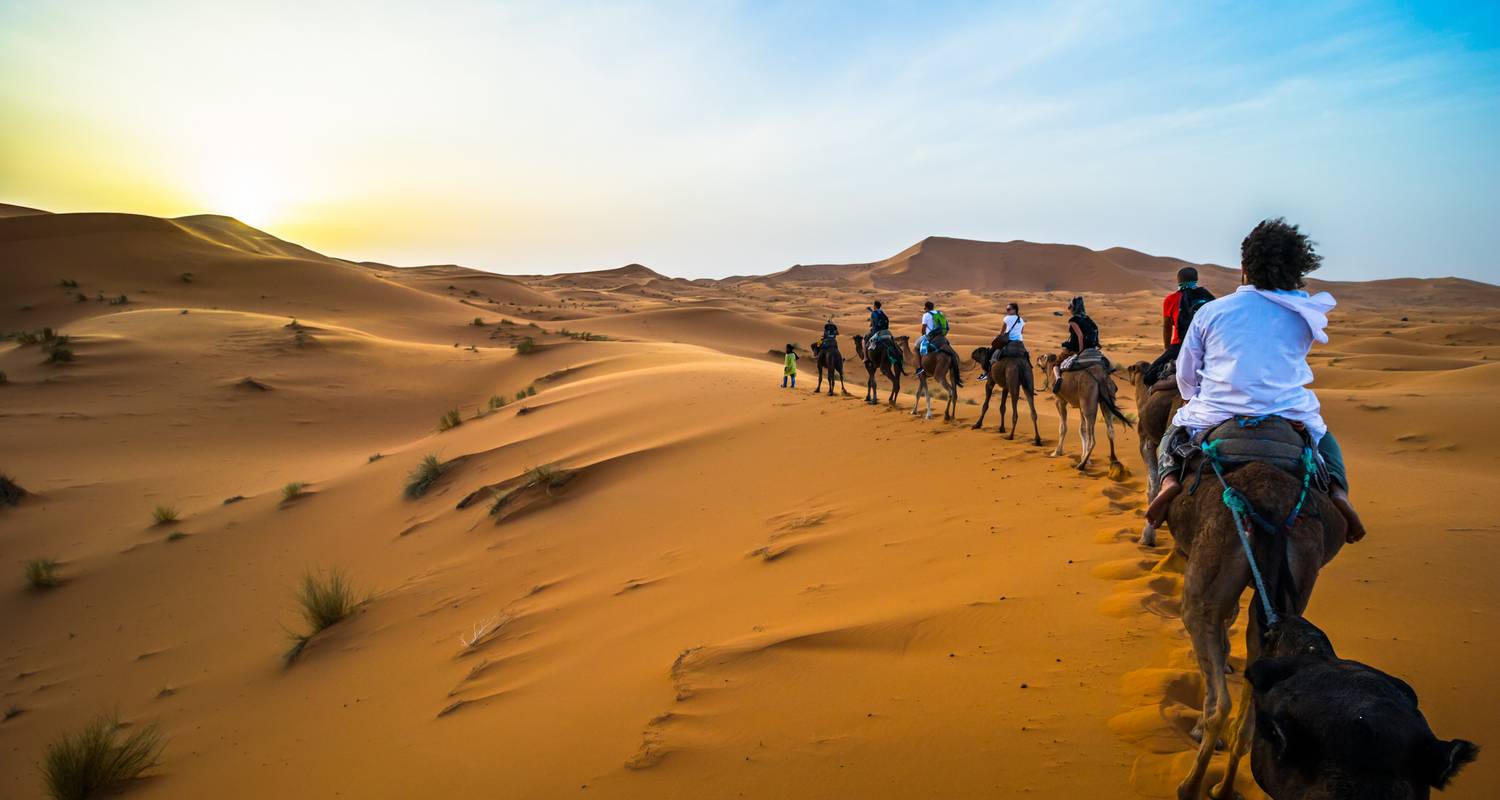 3 Days Sahara Adventure (Fes / Marrakech) - Morocco Joy Travel