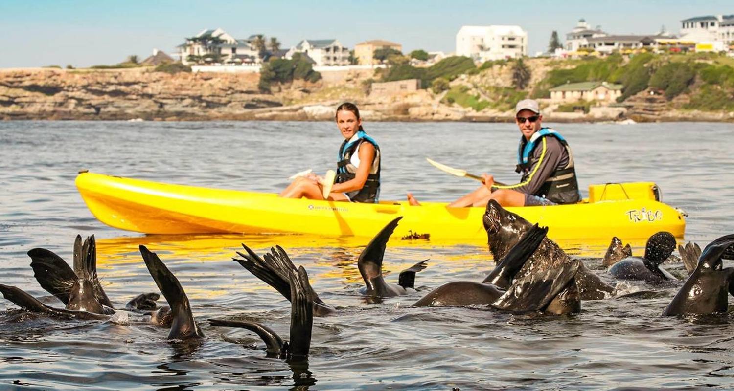 Wine Tasting, Sea Kayaking & Discovering Cape Town (3 Days) - Contiki