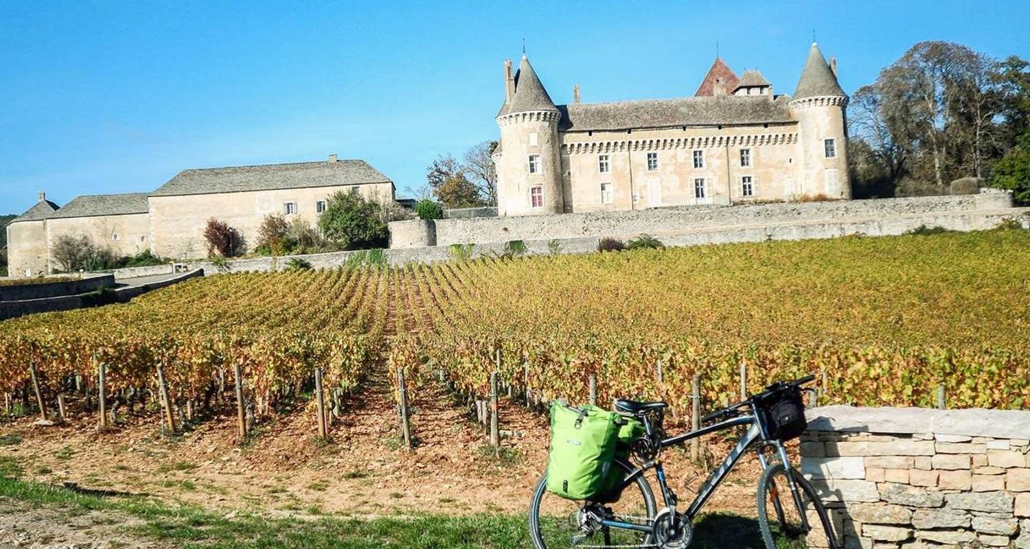 Wine Cycling in Burgundy (3 Days) - Contiki