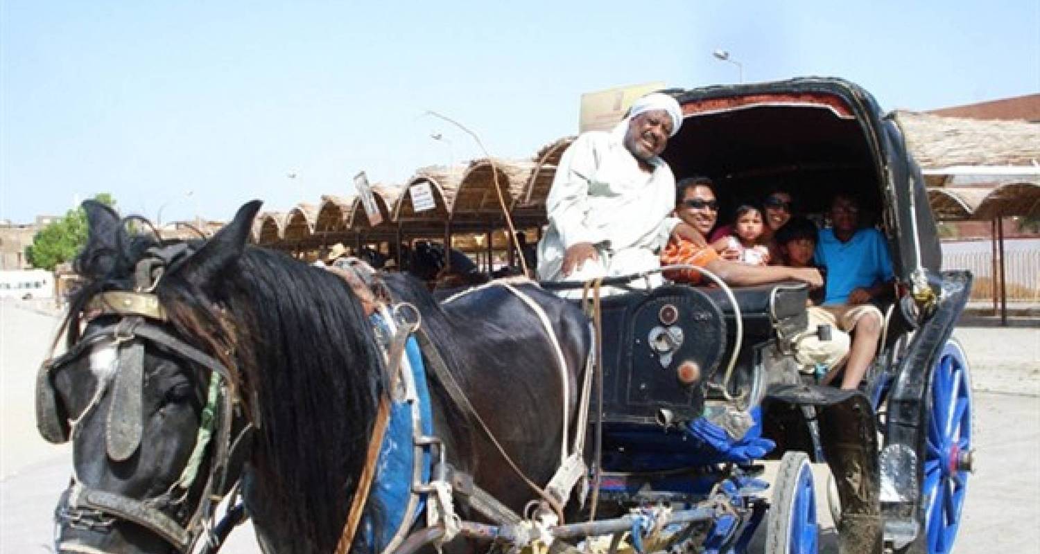Luxor City Tour By Horse Carriage - Booking To Egypt
