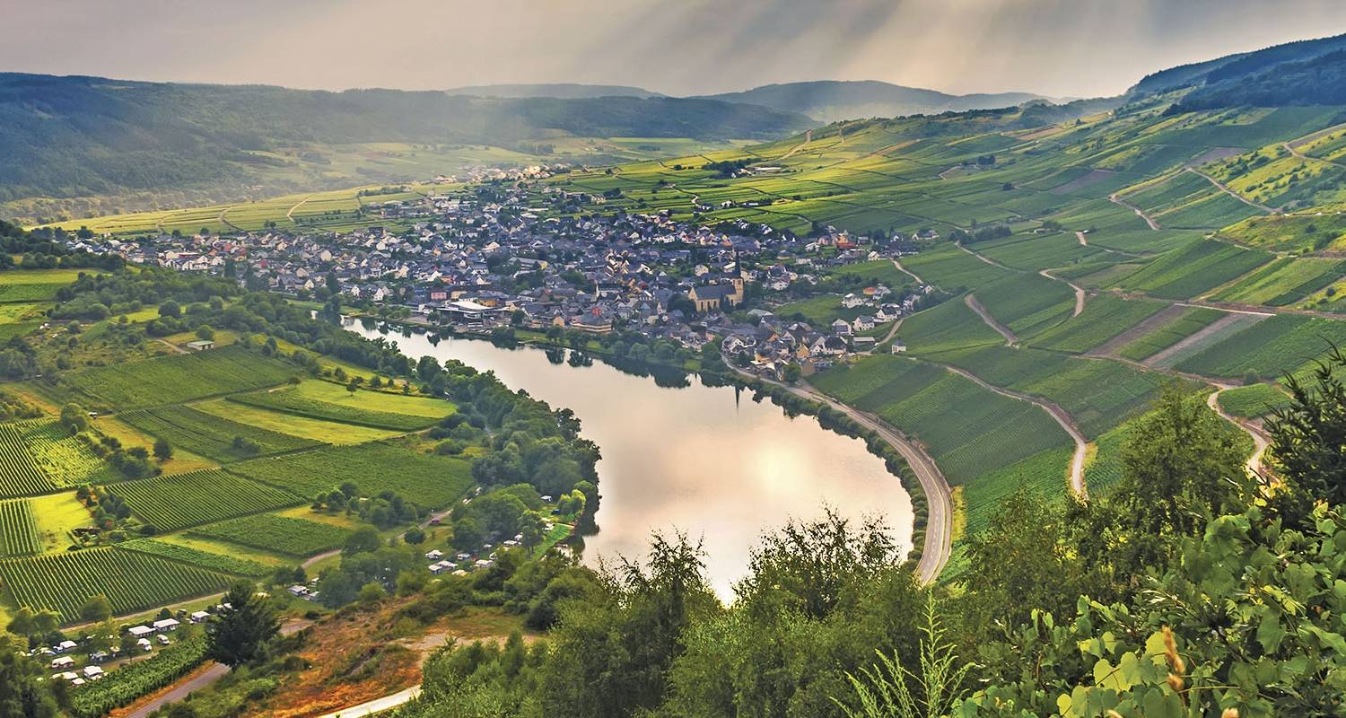Charming Castles & Vineyards of the Rhine & Moselle (Start Frankfurt, End Basel) - Scenic Luxury Cruises & Tours