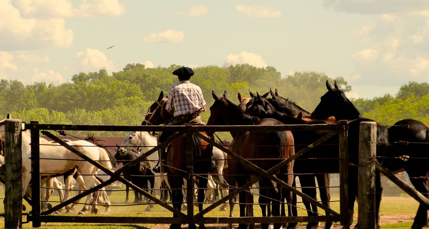 Gauchos, Wasserfälle und Wein - Say Hueque Argentina & Chile Journeys