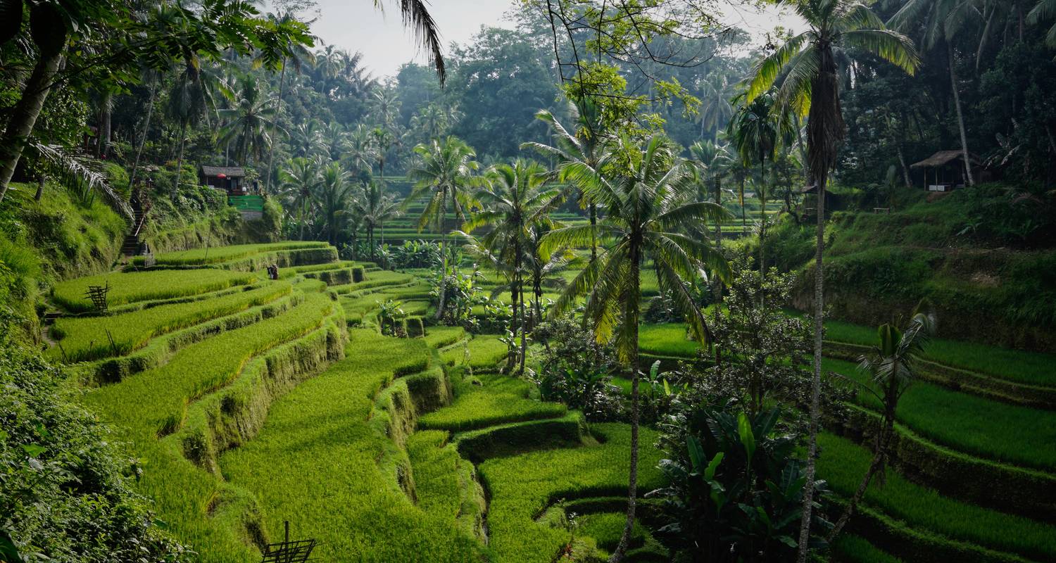 Island of the Gods: the Ultimate Bali Itinerary - TRIPS by Culture Trip