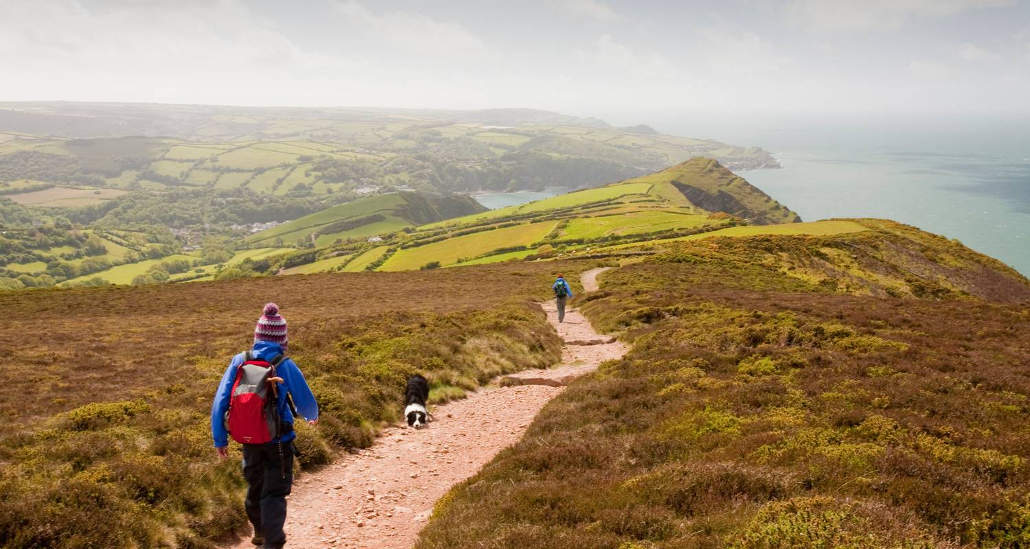 Walking and Swimming the Wilds of Devon - TRIPS by Culture Trip