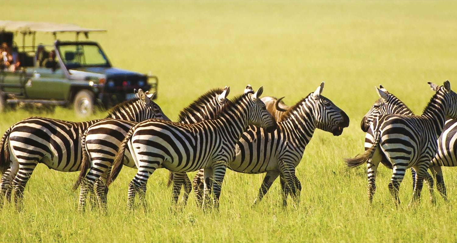 Kenyan Discovery (6 destinations) - Scenic Luxury Cruises & Tours