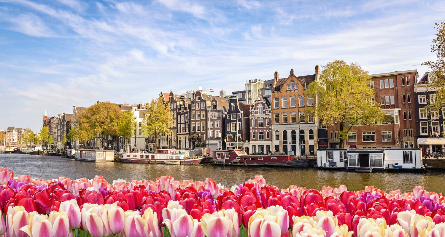 Tulip Time in Holland & Belgium for Garden and Nature Lovers - Avalon Waterways