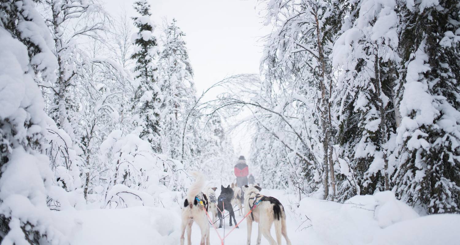 Arctic Wilderness Adventures from a Secret Island in Finnish Lapland - TRIPS by Culture Trip