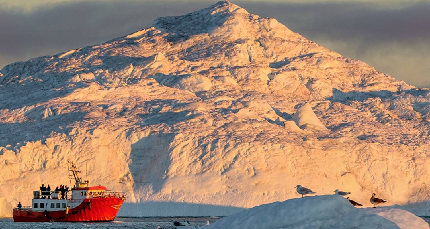 High Arctic Explorer - Canada to Greenland (Ocean Endeavour) - Intrepid Travel